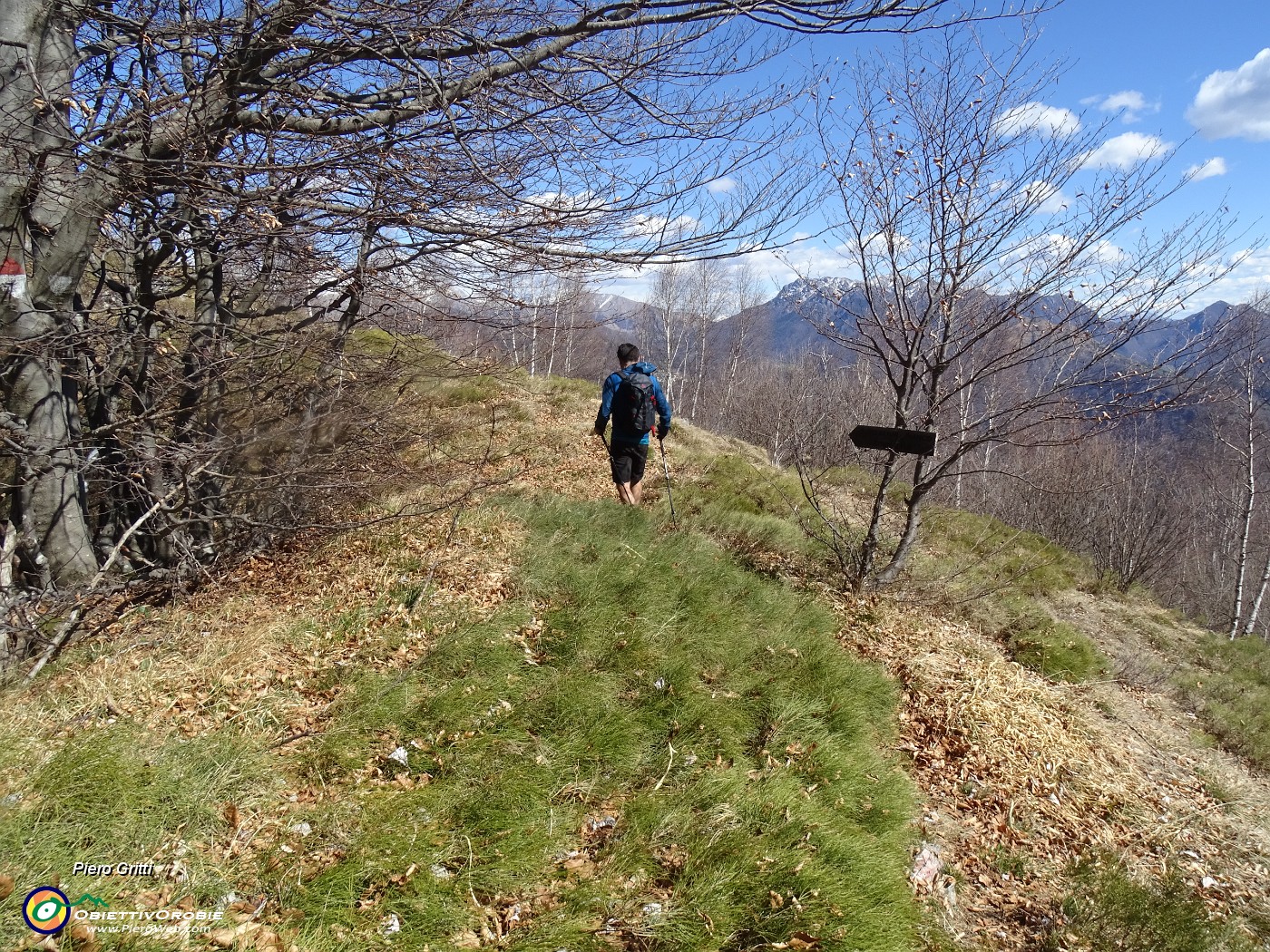 65 Da qui lasciamo i secchi pratoni erbosi per entrare a sx nel bosco di faggeta.JPG